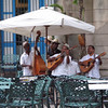KateAndSteffen > Musicians at Plaza de la Catedral