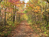KateAndSteffen > Mono Cliffs Provincial Park, Ontario