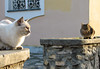 KateAndSteffen > Day 3: Amalfi Coast