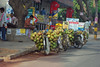 KateAndSteffen > Bangalore