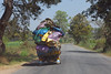 KateAndSteffen > On the road to Mysore