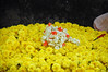 KateAndSteffen > Mysore - Flower and Veg market