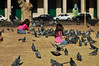 KateAndSteffen > On Plaza de Mayo