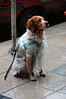 KateAndSteffen > In the winter rain in Buenos Aires
