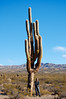 KateAndSteffen > Parque Nacional Los Cardones