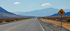 KateAndSteffen > Watch for Llamas!