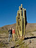 KateAndSteffen > Parque Nacional Los Cardones
