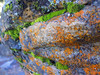 KateAndSteffen > Near Athabasca Falls @ Jasper National Park