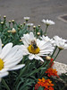 KateAndSteffen > Southern France (May 2006) photo