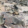 KateAndSteffen > Cape Cross