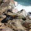 KateAndSteffen > Cape Cross