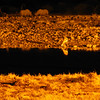 KateAndSteffen > Rhinos @ Okaukuejo waterhole at night