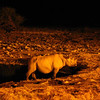KateAndSteffen > Rhinos @ Okaukuejo waterhole at night